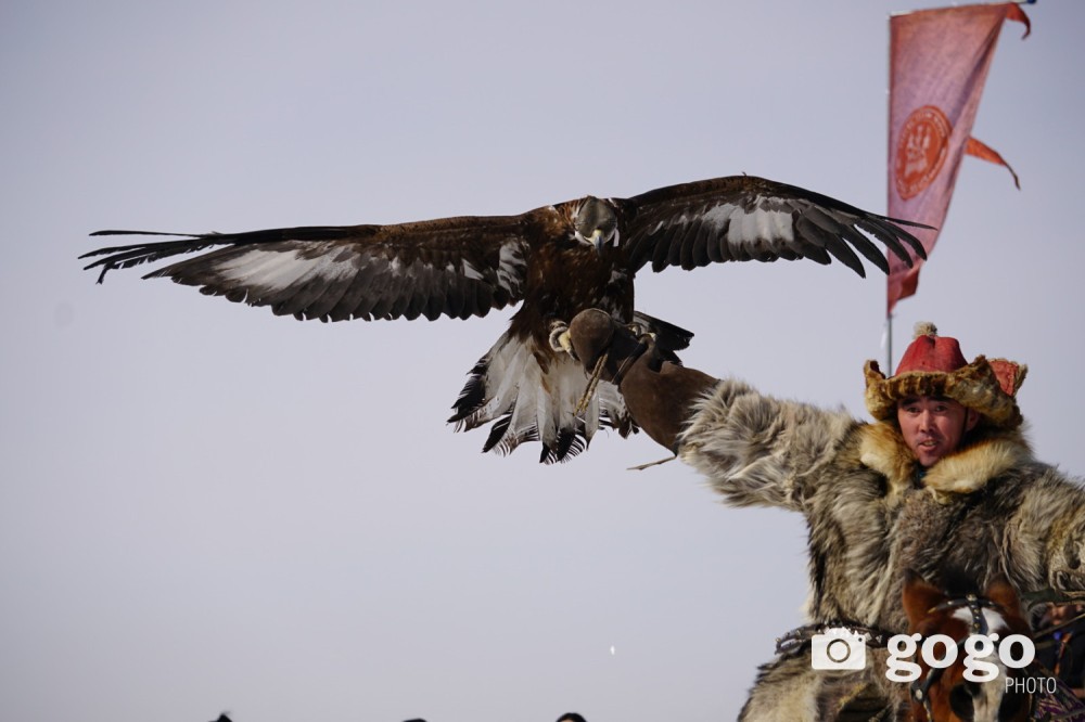 devj%20bui%20burged-103615-19303817061.j